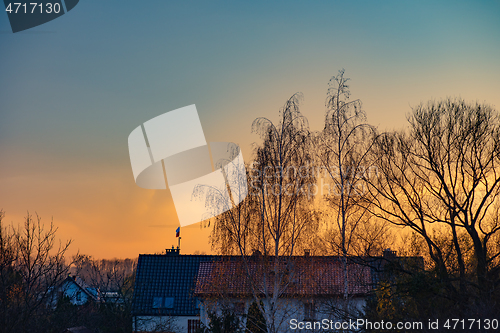 Image of Houses and trees at sunset