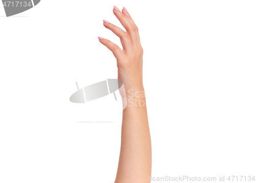 Image of Female hand on white