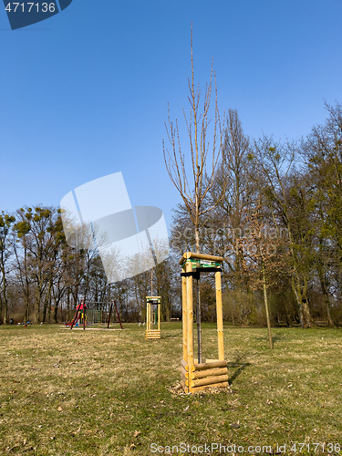 Image of Planting trees in park