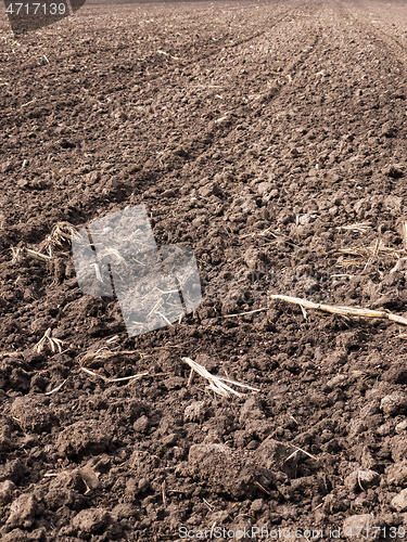 Image of Plowed field at spring