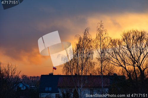 Image of Houses and trees at sunset