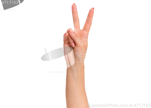 Image of Female hand on white