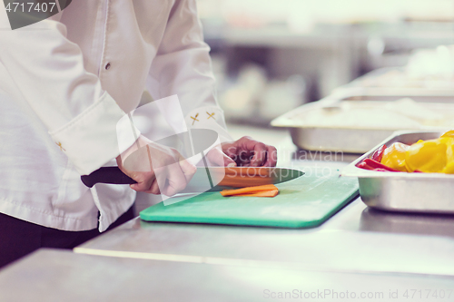 Image of Chef hands cutting fresh and delicious vegetables