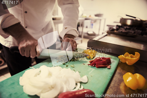 Image of Chef hands cutting fresh and delicious vegetables