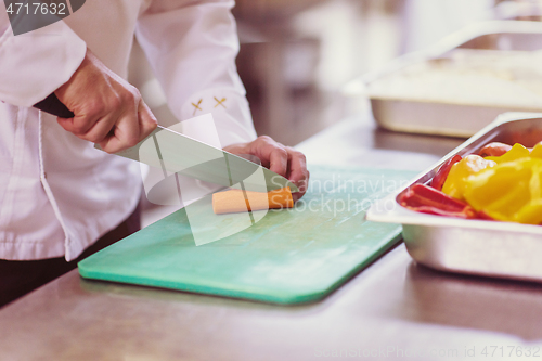 Image of Chef hands cutting fresh and delicious vegetables