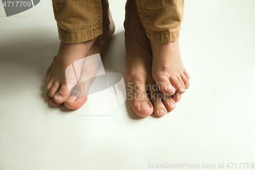 Image of Family\'s legs on white studio background, dad and son