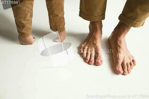 Image of Family\'s legs on white studio background, dad and son
