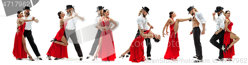 Image of Elegance Latino dancers in action, isolated on white studio background