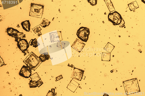 Image of microscopic microcrystal background