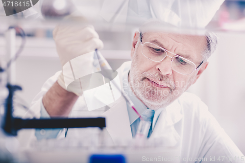 Image of Life scientist researching in the laboratory.