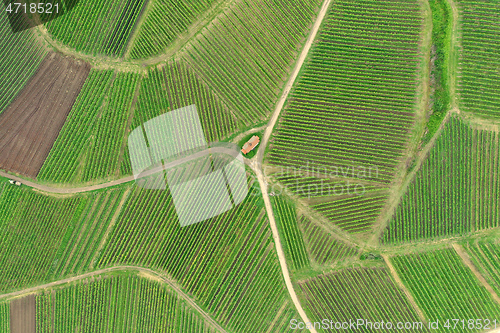 Image of aerial view vineyard scenery at Kaiserstuhl Germany