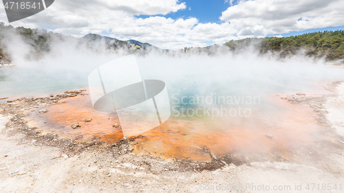 Image of hot sparkling lake in New Zealand