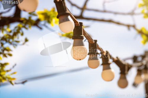 Image of old light bulbs outside