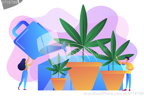 Image of Cannabis cultivation concept vector illustration.