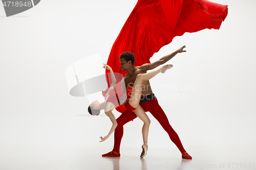 Image of Young graceful couple of ballet dancers dancing on white studio background