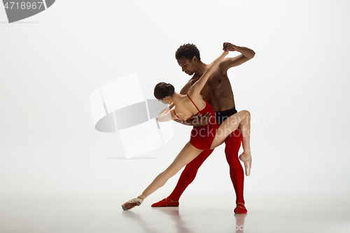 Image of Young graceful couple of ballet dancers dancing on white studio background