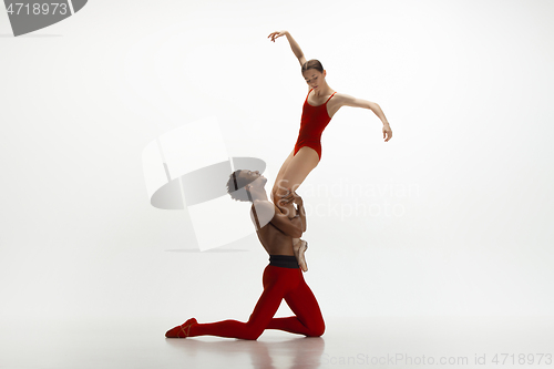 Image of Young graceful couple of ballet dancers dancing on white studio background