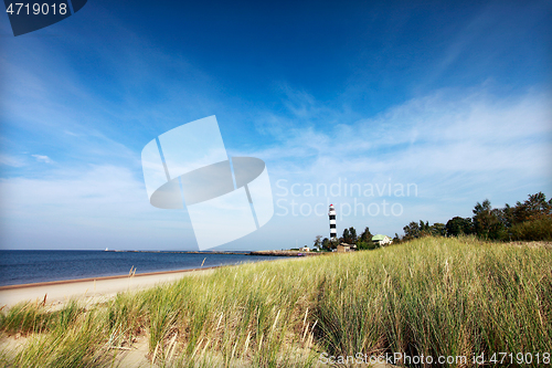 Image of Grassy dunes with Lighthouse