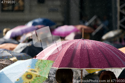 Image of Crowd of people with umbrellas