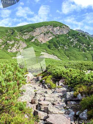 Image of Tourist hiking trail in the Polish Tatra Mountains.