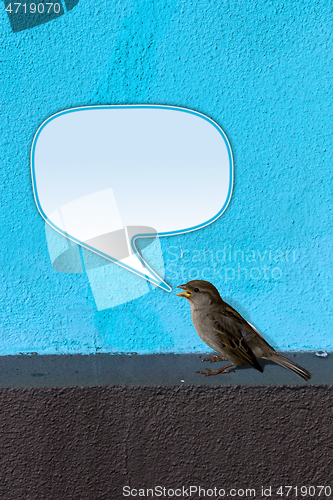 Image of Bird twittering