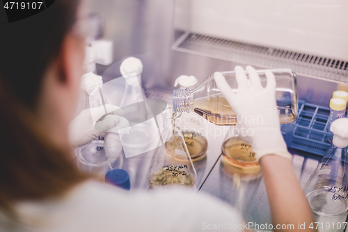 Image of Young scientist pipetting solution.