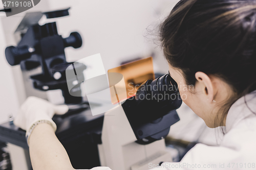 Image of Life science researcher microscoping in genetic scientific laboratory.