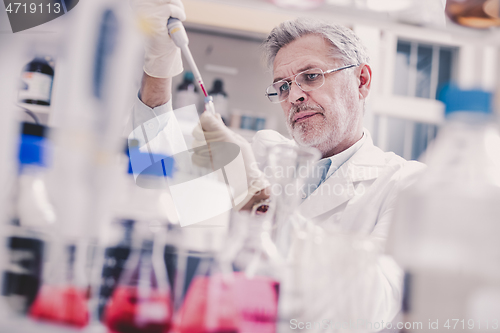 Image of Senior male life scientist researching in the laboratory.