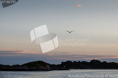 Image of Beautiful view on norwegian fjords