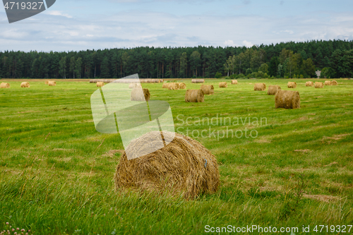 Image of green meadow with hay rolls