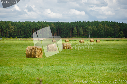 Image of green meadow with hay rolls