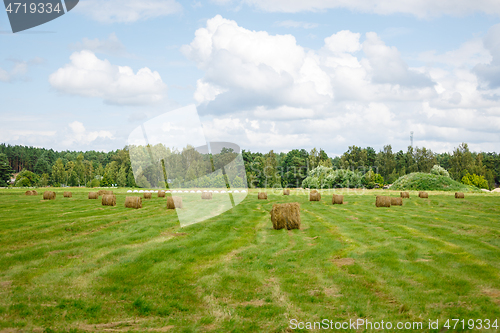 Image of green meadow with hay rolls