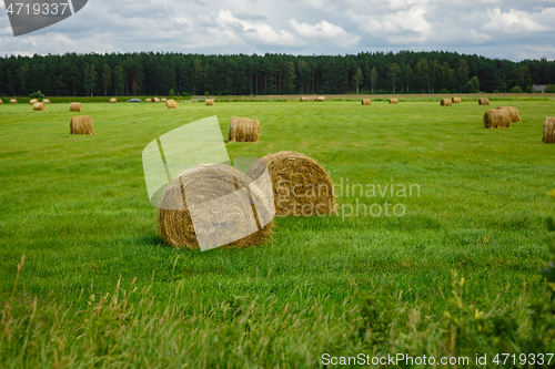 Image of green meadow with hay rolls