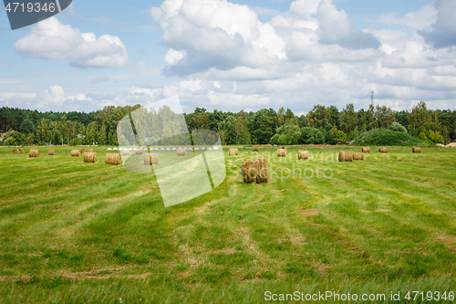 Image of green meadow with hay rolls