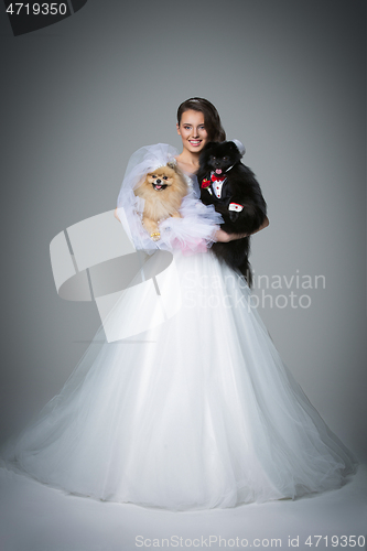 Image of bride girl with Spitz dog wedding couple