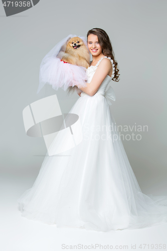 Image of beautiful bride girl with spitz bride on gray background