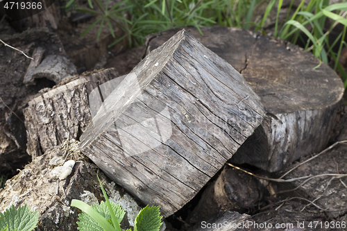 Image of Firewood background