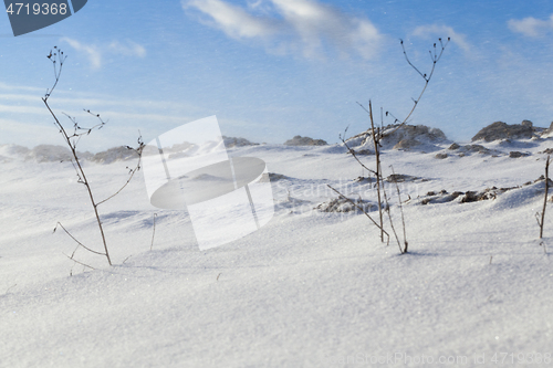 Image of Snow drifts in winter