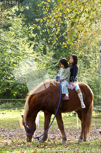 Image of Two girls with horse