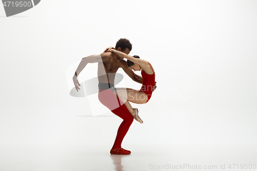 Image of Young graceful couple of ballet dancers dancing on white studio background