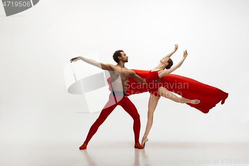 Image of Young graceful couple of ballet dancers dancing on white studio background