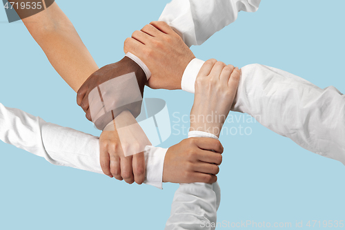 Image of Male and female hands holding isolated on blue studio background