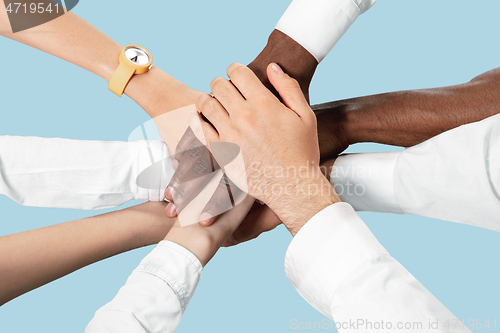 Image of Male and female hands holding isolated on blue studio background