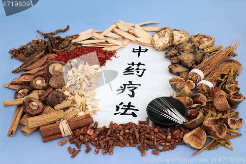 Image of Traditional Chinese Herbal Therapy