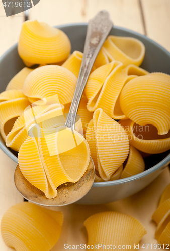 Image of Italian snail lumaconi pasta 