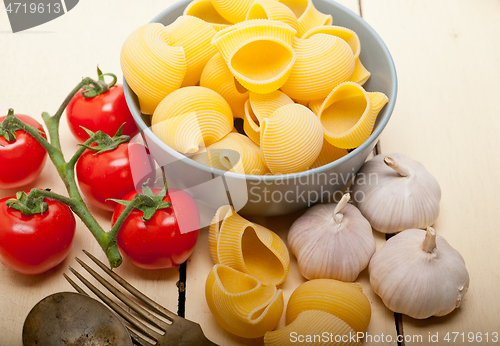 Image of Italian snail lumaconi pasta with tomatoes