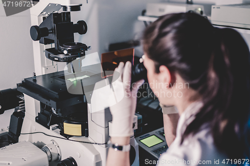 Image of Life science researcher microscoping in genetic scientific laboratory.