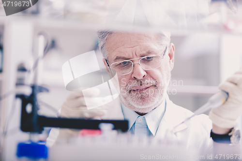 Image of Senior male life scientist researching in the laboratory.