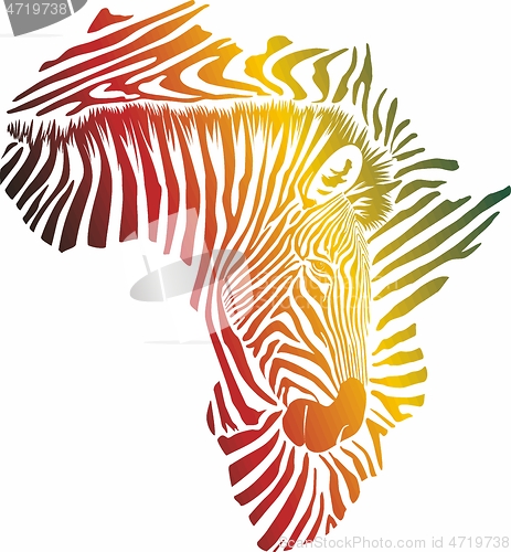 Image of Color map of Africa made of zebra head and skin