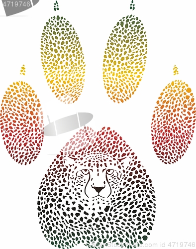 Image of Cheetah color footprint